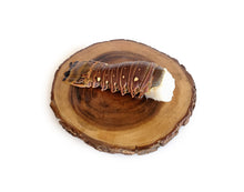 Load image into Gallery viewer, Fresh Florida Lobster Tail Box