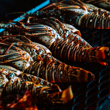 Load image into Gallery viewer, Fresh Florida Lobster Tail Box
